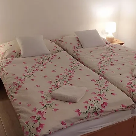 Stary Dvur Pod Palavou - Staj Semesterbostad Šakvice