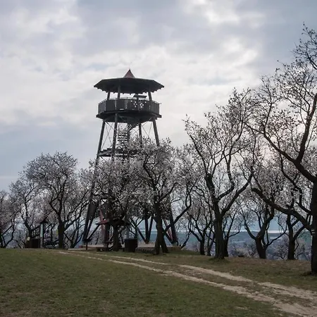 Stary Dvur Pod Palavou - Staj Šakvice