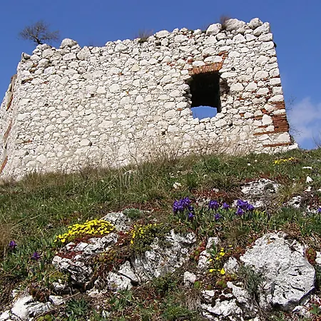 Stary Dvur Pod Palavou - Staj Šakvice